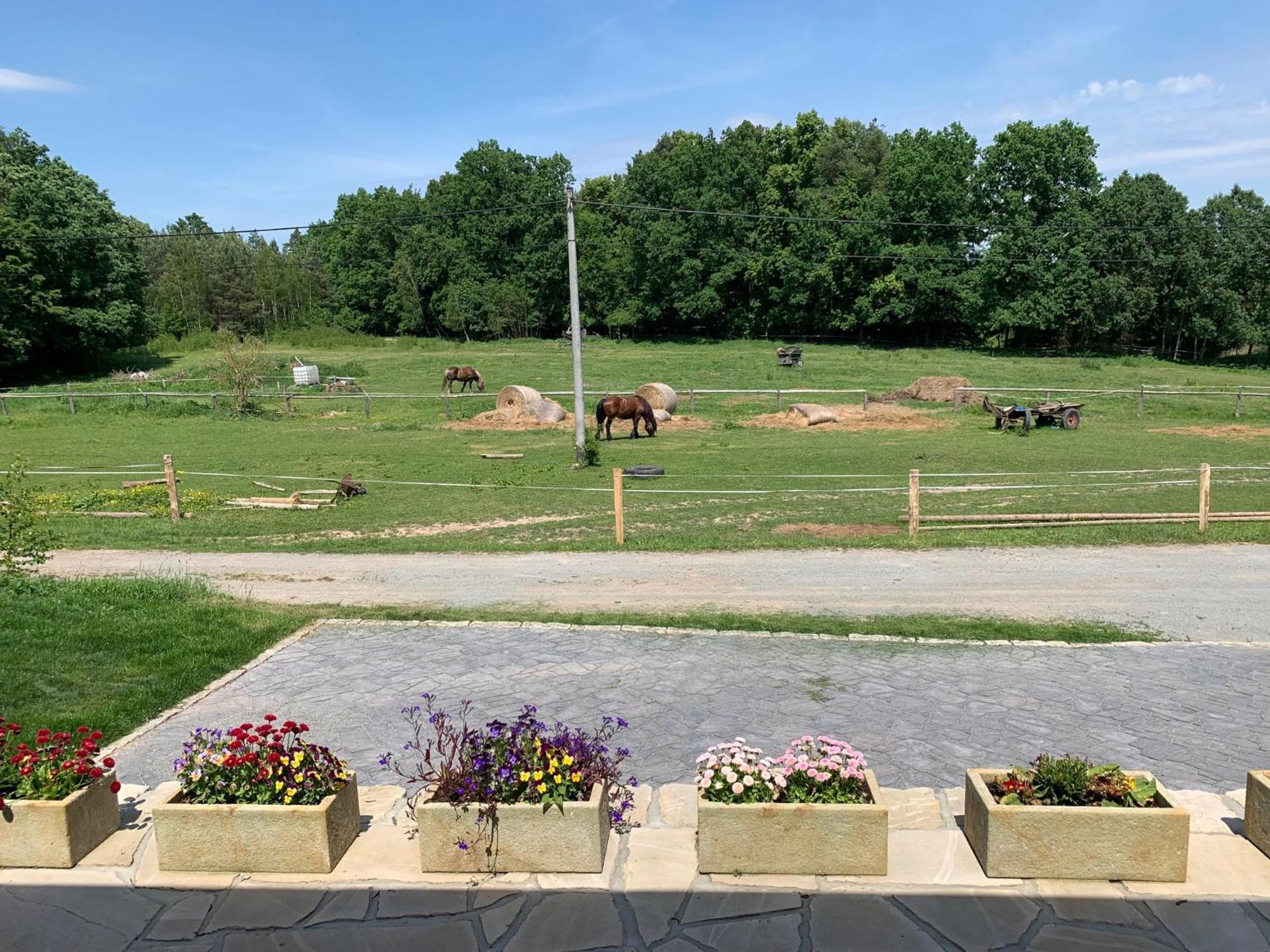 Roubenka Kokorinsko Holiday home Duba